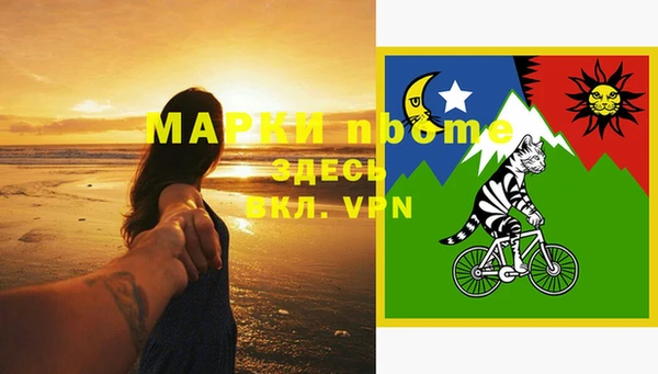соль ск Пестово