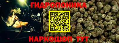гидра Аргун