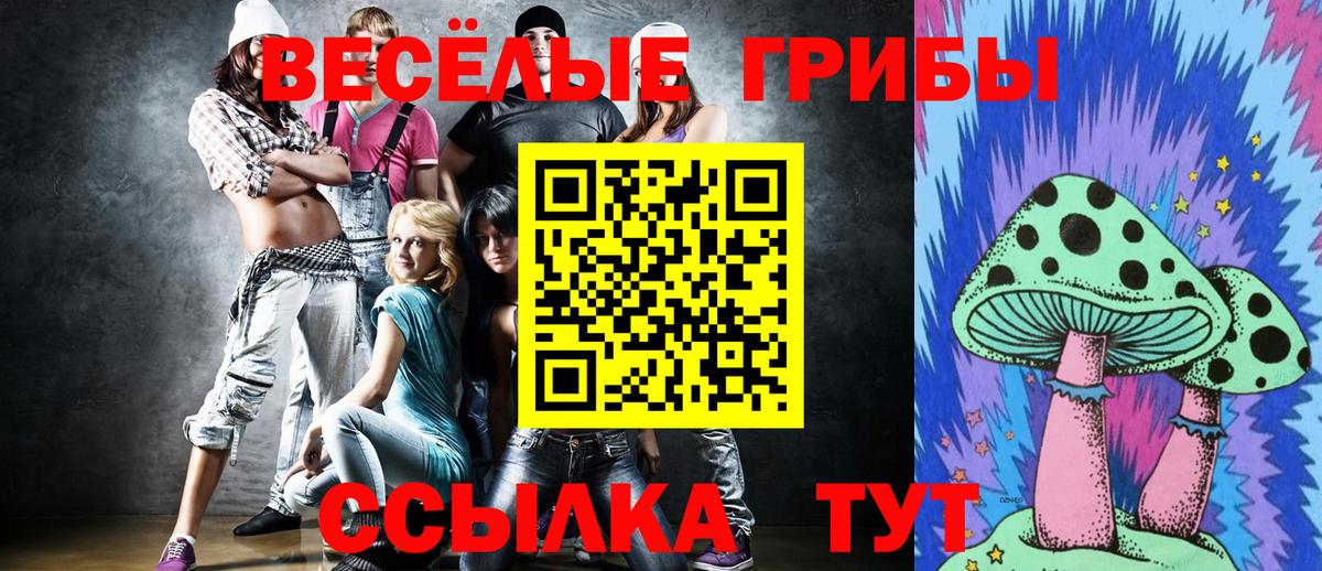 Псилоцибиновые грибы прущие грибы Семилуки