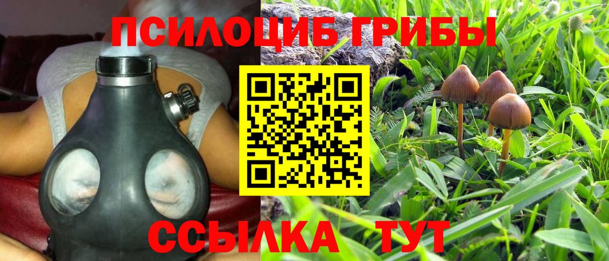 Псилоцибиновые грибы ЛСД  Псилоцибиновые грибы MAGIC MUSHROOMS  Вход с VPN  Семилуки 